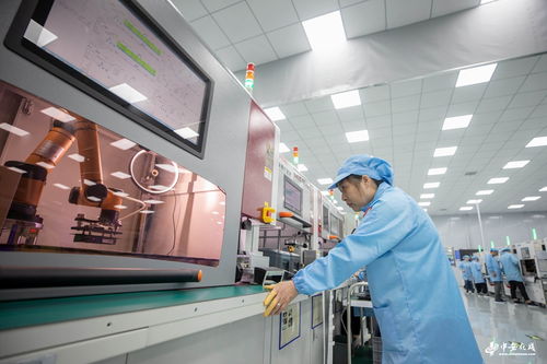 安徽合肥 汽车电子研发生产忙，计算机软件技术服务赋能产业新生态